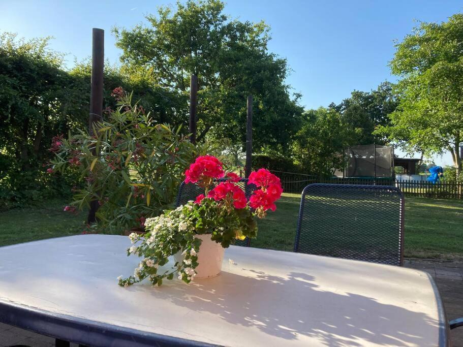 Helle Wohnung Mit Wintergarten - Nahe Ruhrgebiet Und Freizeitpark Movie Park Ботроп Экстерьер фото